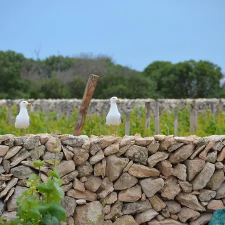 Firriato Hospitality - Calamoni Di Apartment Favignana