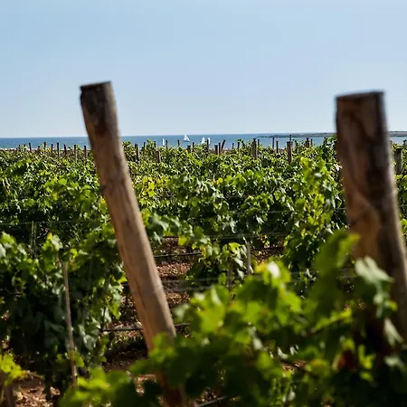 Firriato Hospitality - Calamoni Di Favignana